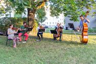 Wienerfeld West: Sommerfest vom 6. August 2020